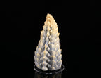 dimvra-figurine gradient grey to cream dragon tail silicone sculpture - Front view on stand.