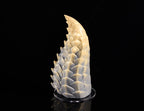 Side profile of dimvra-figurine silicone dragon tail, showing curved tip and gradient colors.