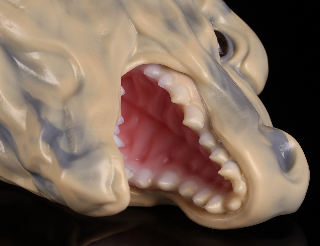 Realistic Earth Dragon Head Bust - Lifelike Terra Scalie Collectible Figure